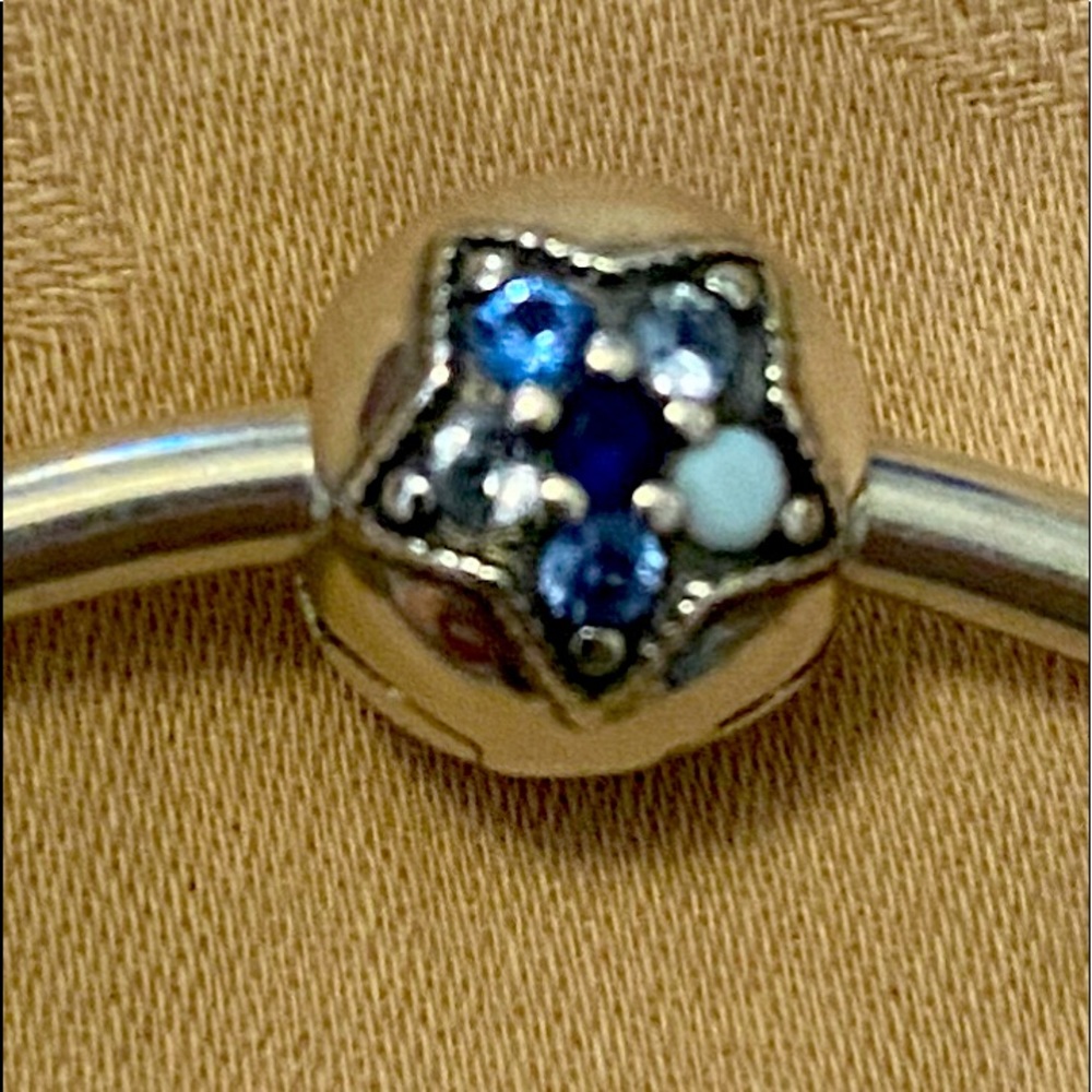 Pandora Bead Charm
